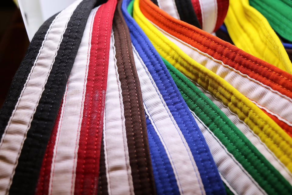 Tullner Taekwondo: Gold und Silber für starke Leistungen bei Meisterschaft