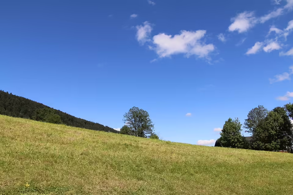Verkehrsüberlastung am Gaisberg: Straßen Sperrung am Wochenende