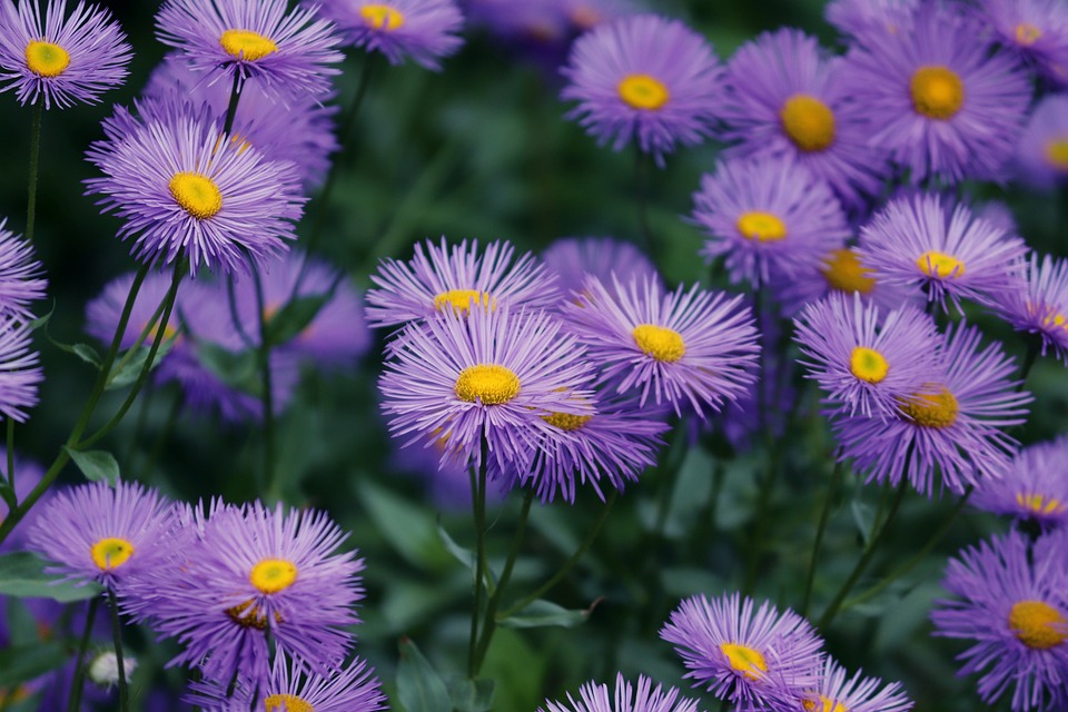 Violette Lichter für Frühchen: UK Tulln setzt Zeichen am Welt-Frühchen-Tag