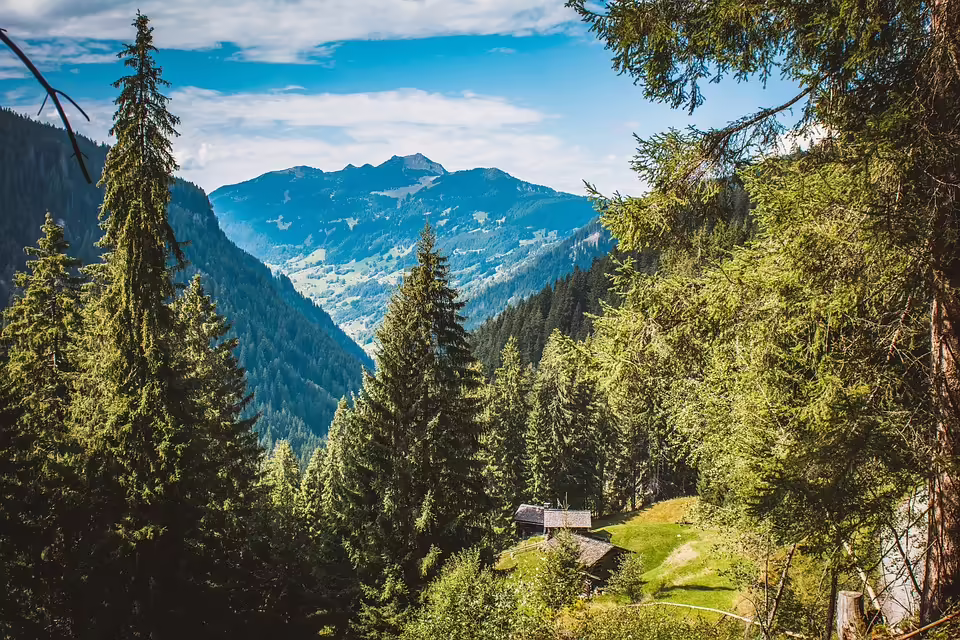 Vorarlberg im Advent: Märkte versprechen festliche Stimmung und Genuss