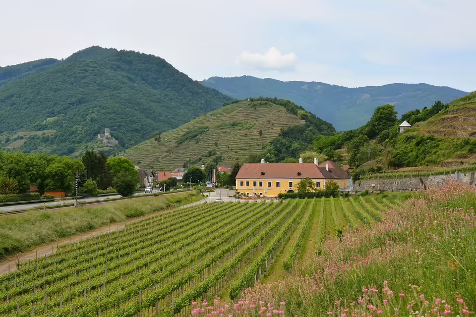 Wachau im Winterschlaf: MS Dürnstein beendet Saison 2024