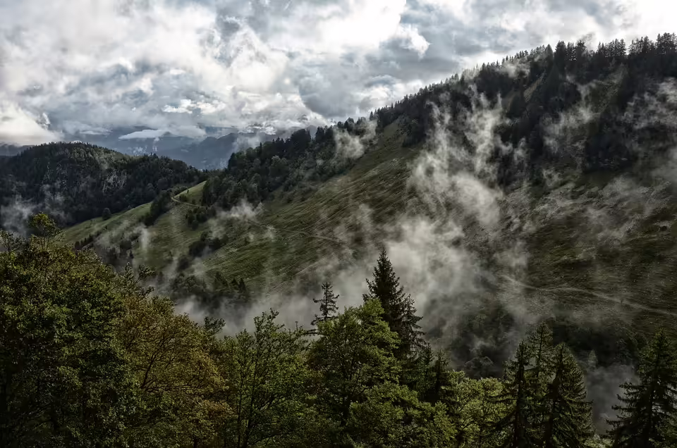 Wandern in der Ysperklamm: Naturfreunde Hainfeld begeistern 34 Teilnehmer