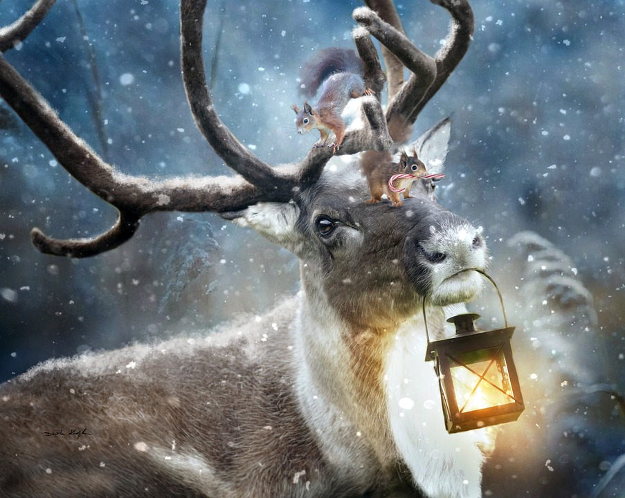 Weihnachten mit Coca-Cola: Magische Momente und neue Erlebnisse
