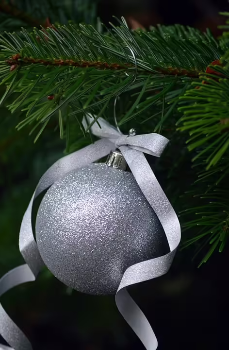 Weihnachtsbaum am Grazer Hauptplatz: Ein funkelnder Adventsbegleiter