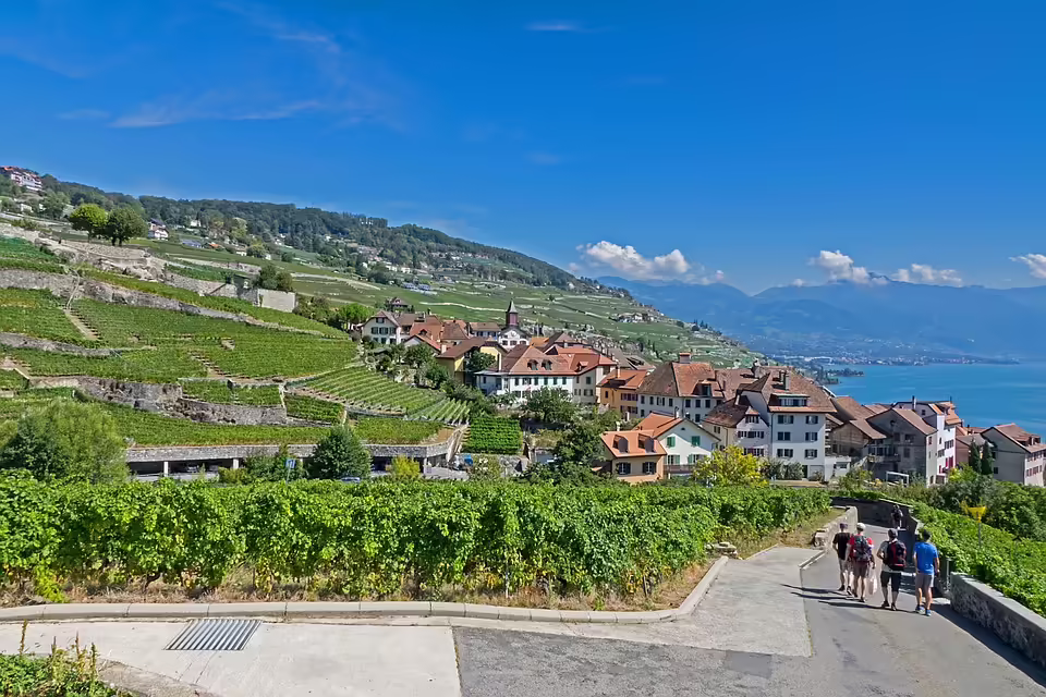 Weinwanderung im Retzer Land: Ein Genussweg zwischen Obernalb und Pillersdorf
