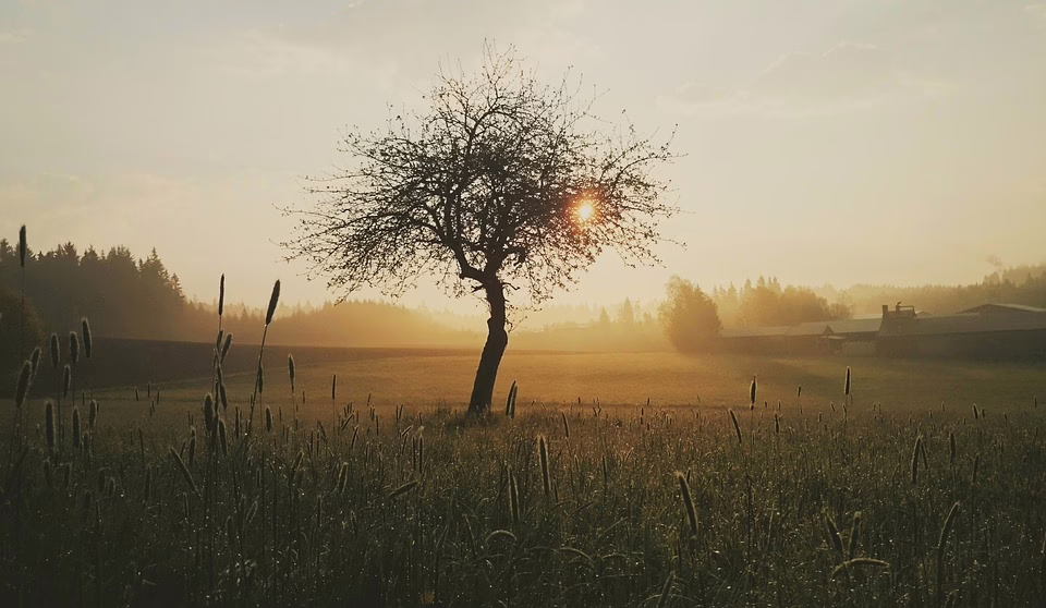 Wetterübersicht: Nebel und Kälte am Wochenende in der Steiermark