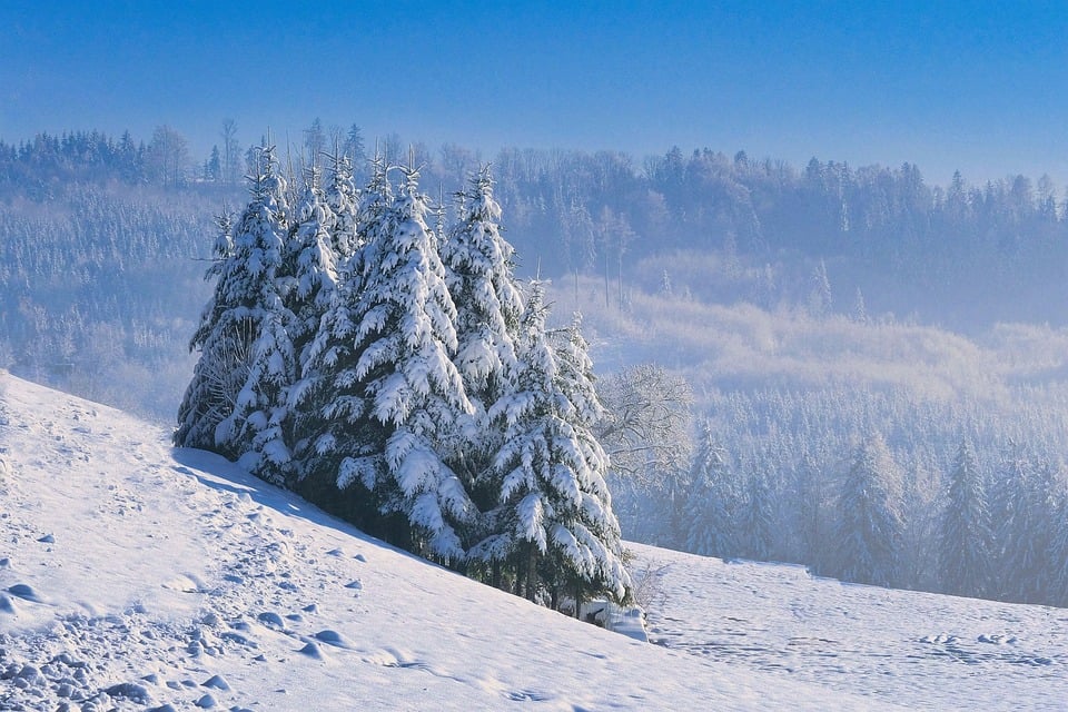 Wetterwarnungen in Bregenz: Schnee und Störungen in der kommenden Woche