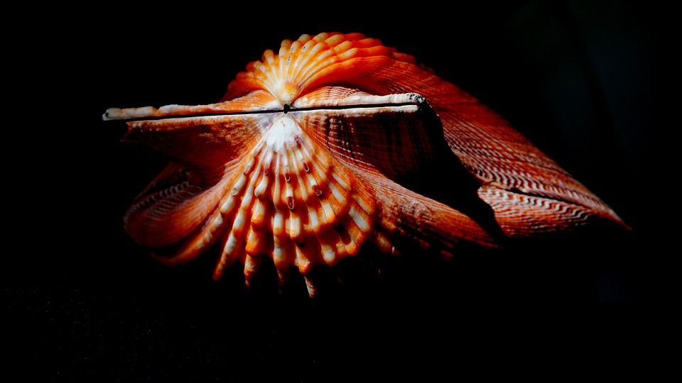 Wintercup im Duo-Bewerb: ESV Ruprechtshofen zeigt starke Leistung