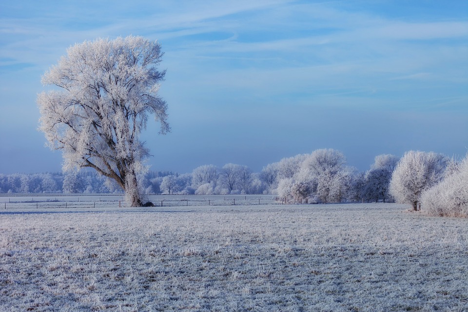 Winterliche Highlights: Unvergessliche Events in Niederösterreich