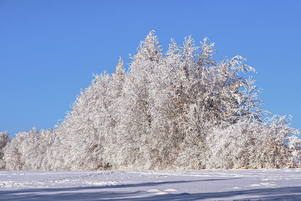 Winterliche Idylle: Erster Schnee verzaubert Grieskirchen und Eferding