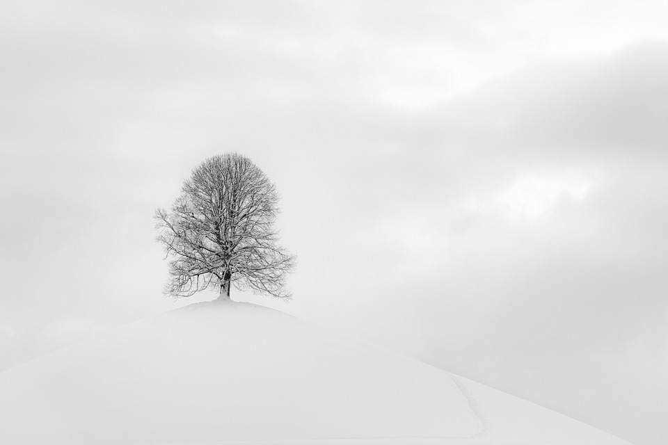 Winterzauber im Bezirk Kirchdorf: Entdecken Sie das Schneeschuhwandern!