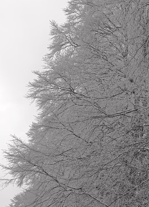 Winterzauber in Reutte: Lumagica entführt in eine magische Welt