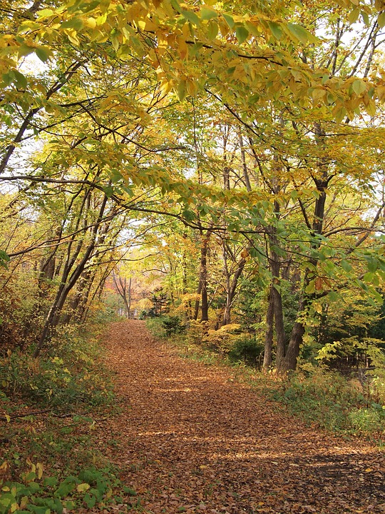 Wolfsberg Wetterprognose: Herbstliche Schwankungen in KW 47