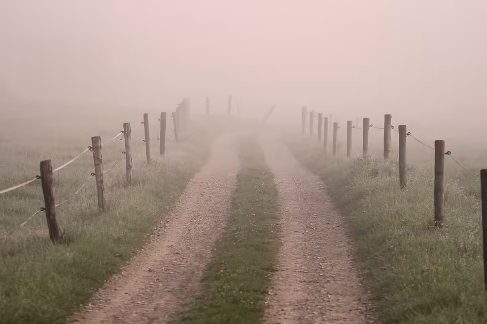 Ziellos durch Europa: Jugendliche aus Vorarlberg erleben außergewöhnliche Reise mit unkonventionellem Konzept