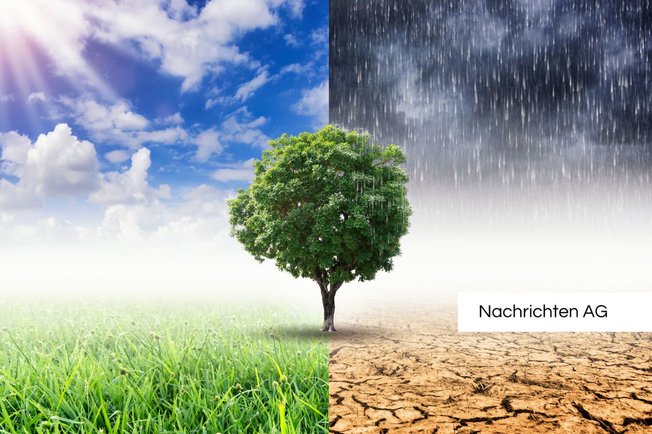 Nachhaltige Anreise zur WM: Salzburg setzt auf Bahn und moderne Infrastruktur!
