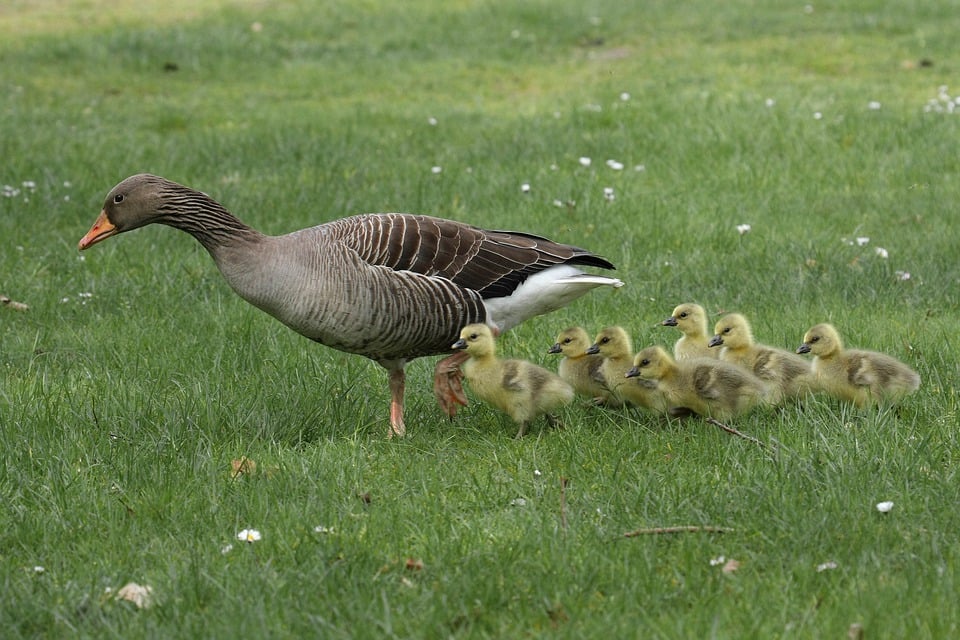 Familie erkundet monatelang den tiefen Ozean