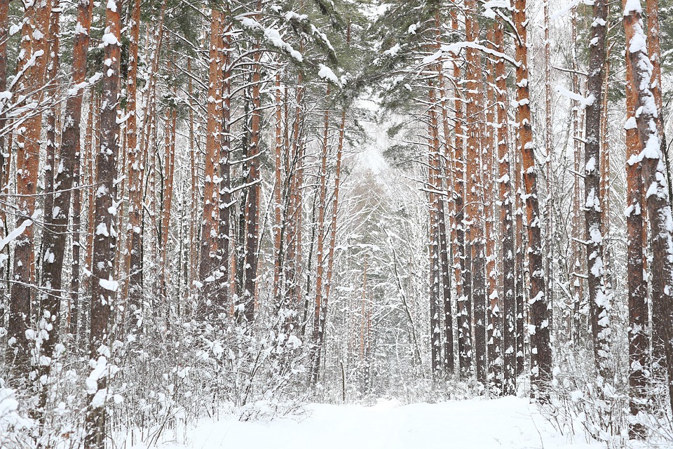Russland führt massive Drohnenangriffe auf Selenskyjs Heimatstadt durch