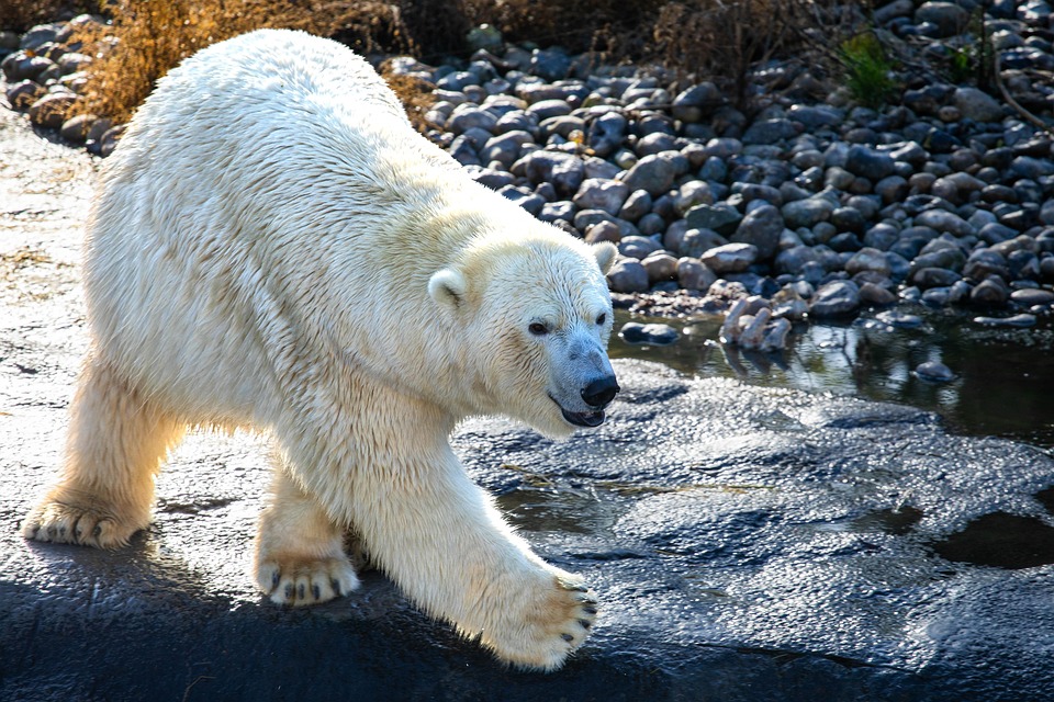 Arktis im Umbruch: Permafrost-Schmelze bedroht Millionen Lebensgrundlagen