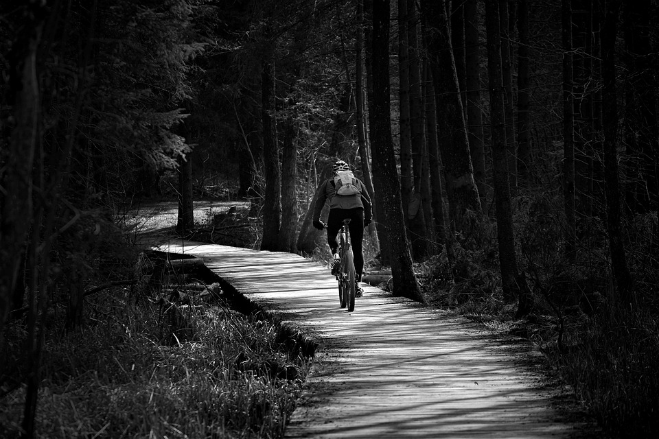Dschungel-Drama: Zwei Radfahrer nach sechs Tagen endlich gerettet!