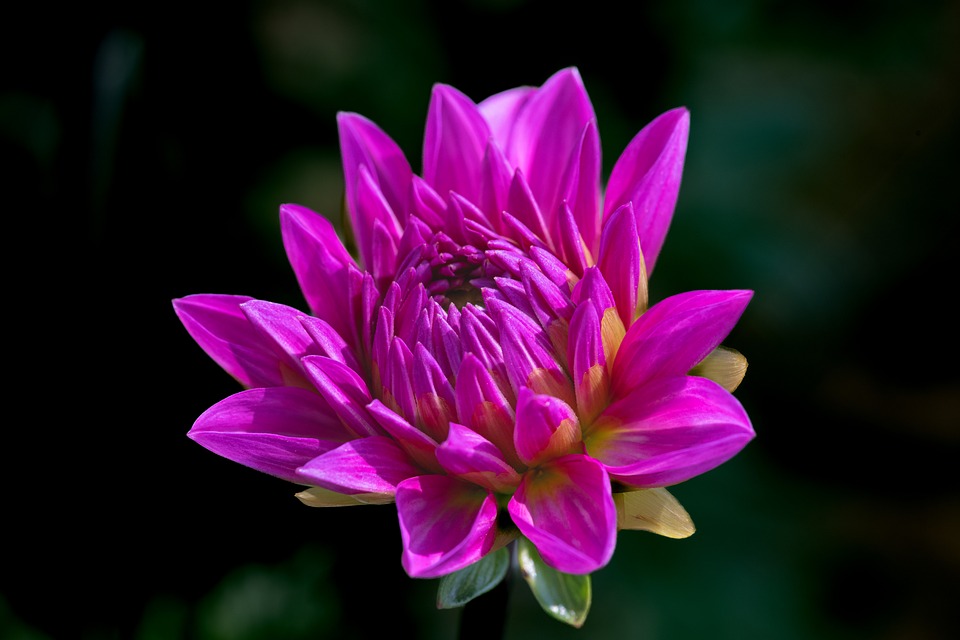 Naturfreunde aufgepasst: Josefine Blaichs neue Kunst im Gemeindeamt!