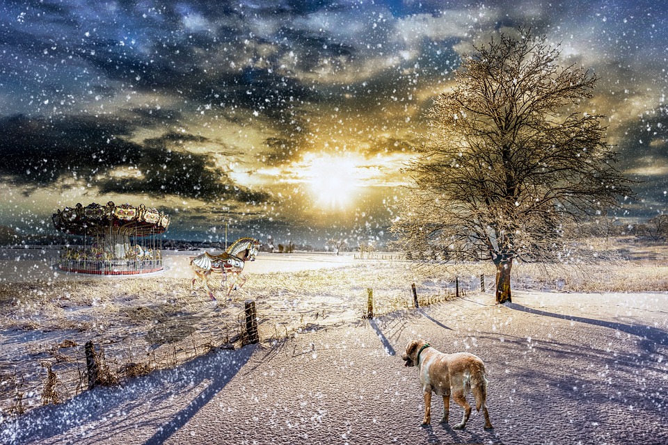 Schneesturm zwingt Aida Nova zur früheren Rückkehr nach Hamburg!
