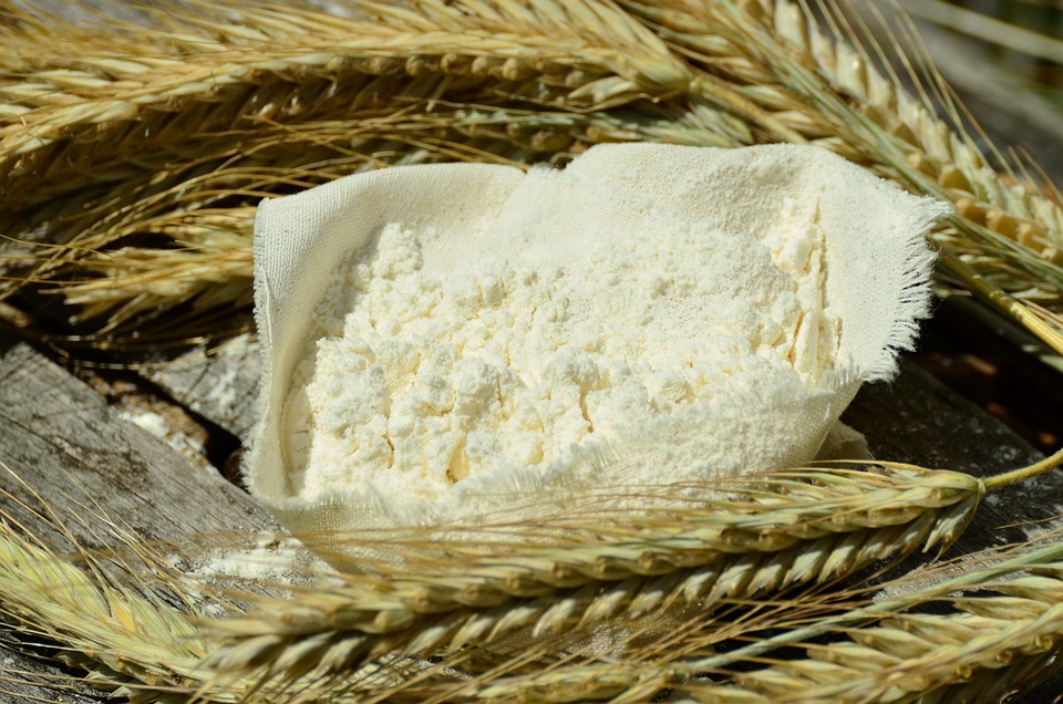 Steuersenkung für Grundnahrungsmittel: Ein Sieg für Vegetarier?