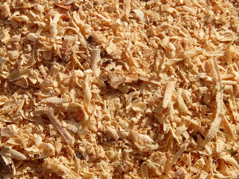Fingerverlust beim Holzfällen: Mann schwer verletzt in Niederau!