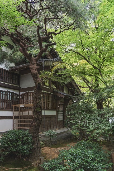 Japans konservative Führerin setzt auf Takaichi und Neuwahlen