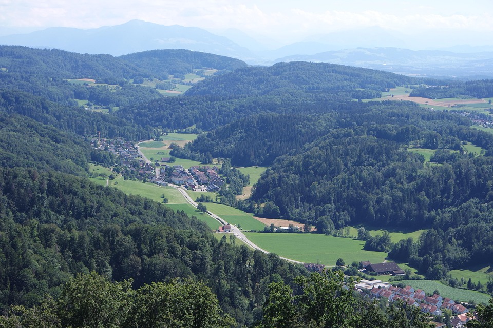 Kranunfall in Stallikon: Kranführer schwer verletzt!