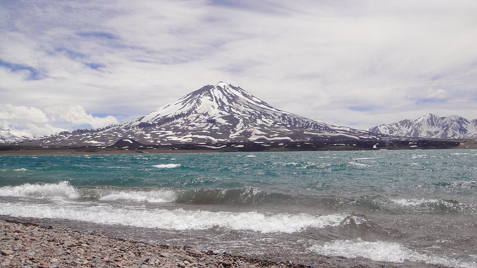 Riesenqualle vor Argentinien entdeckt: Ein Ungeheuer der Tiefsee!