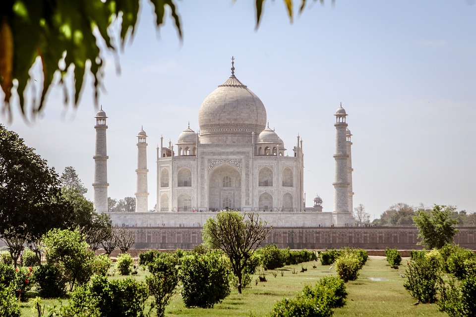 Indiens Gen Z verwandelt die Kakerlake in ein Symbol des Widerstands